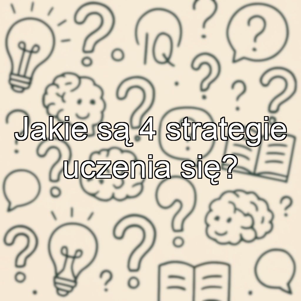 Jakie są 4 strategie uczenia się?