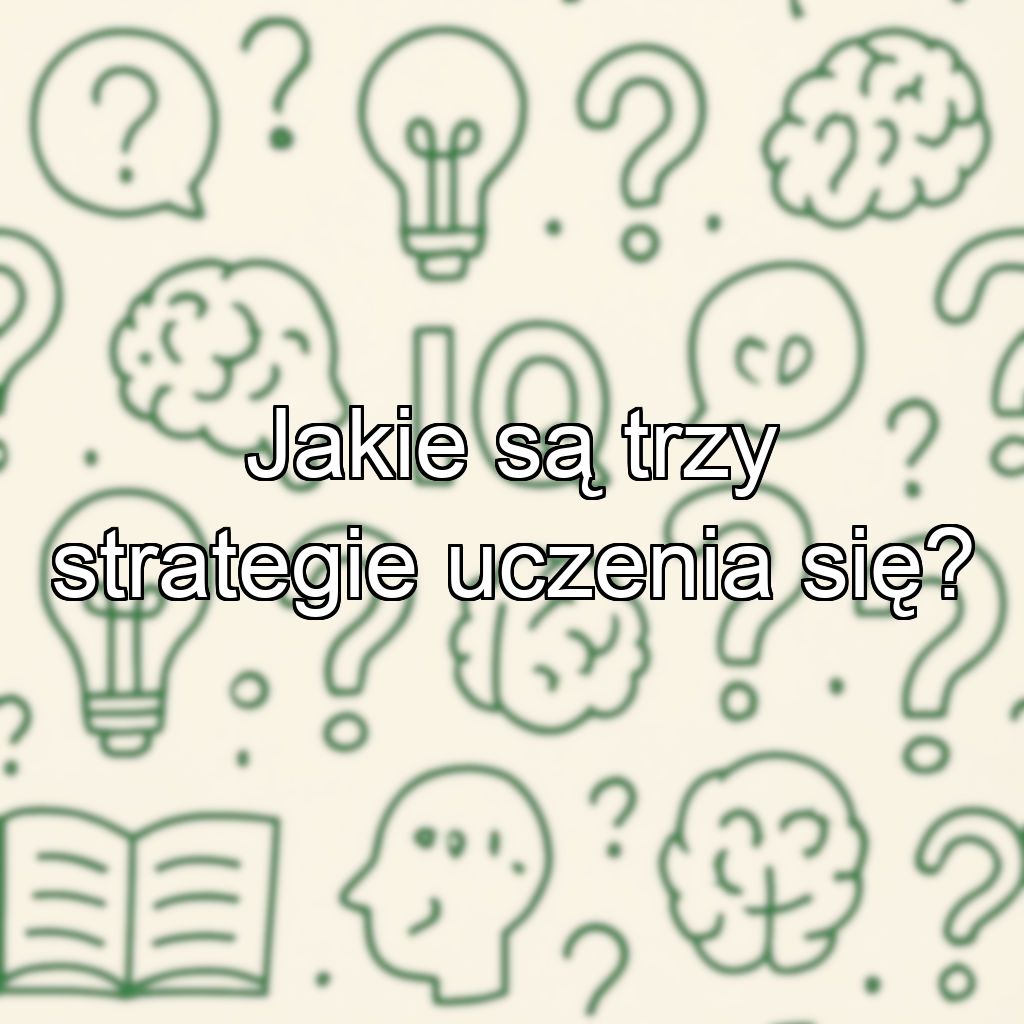 Jakie są trzy strategie uczenia się?