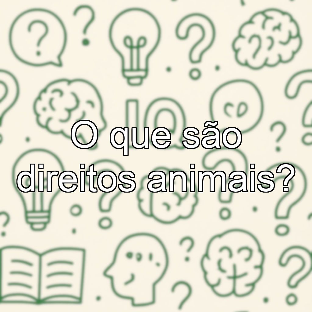 O que são direitos animais?