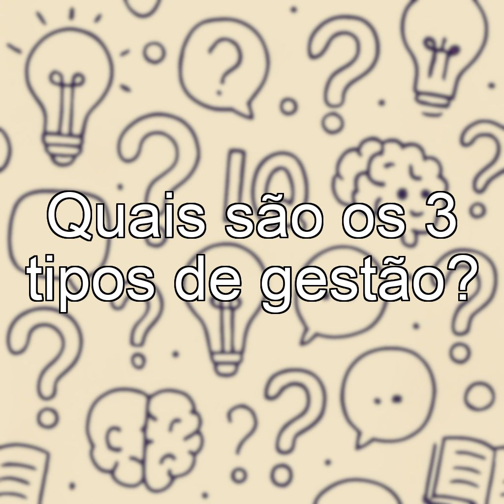 Quais são os 3 tipos de gestão?