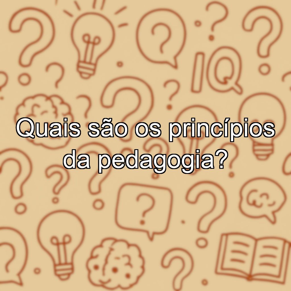 Quais são os princípios da pedagogia?