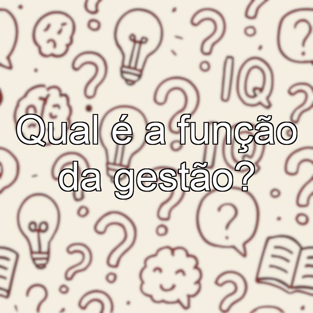 Qual é a função da gestão?
