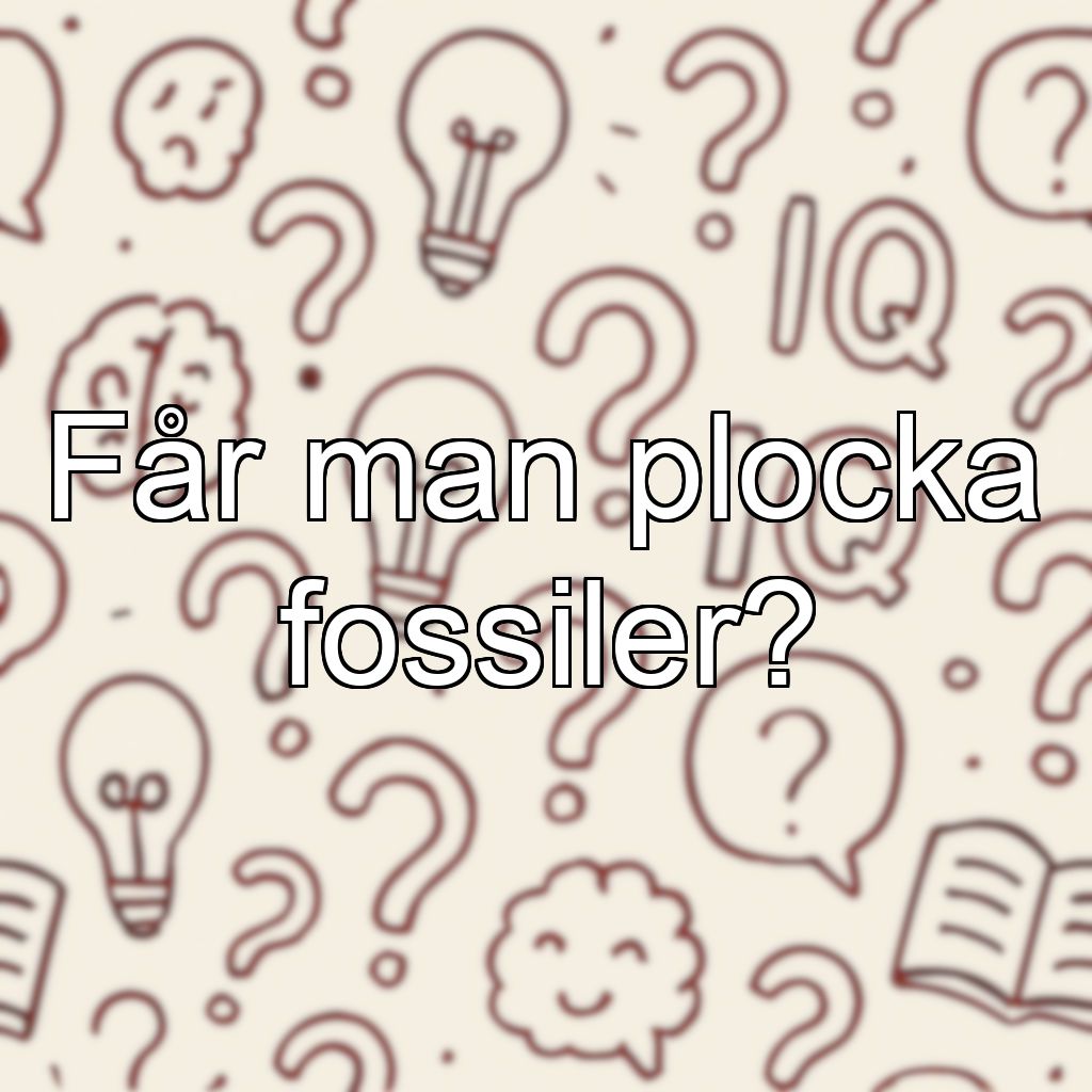 Får man plocka fossiler?