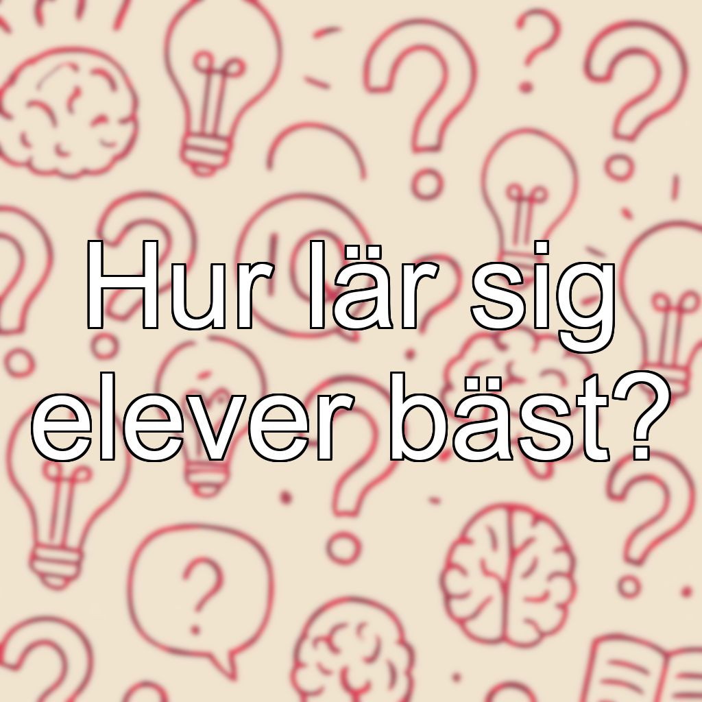 Hur lär sig elever bäst?