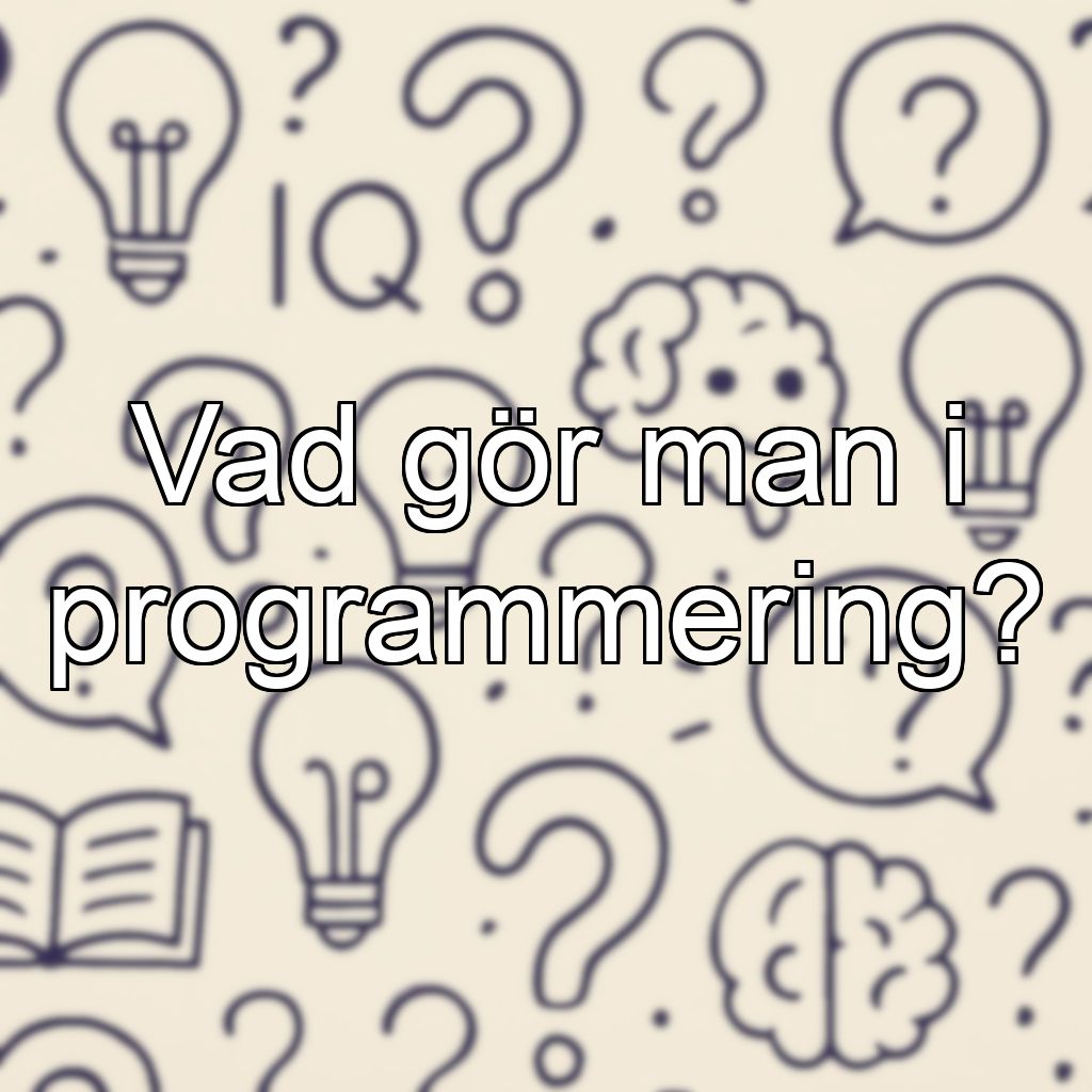 Vad gör man i programmering?