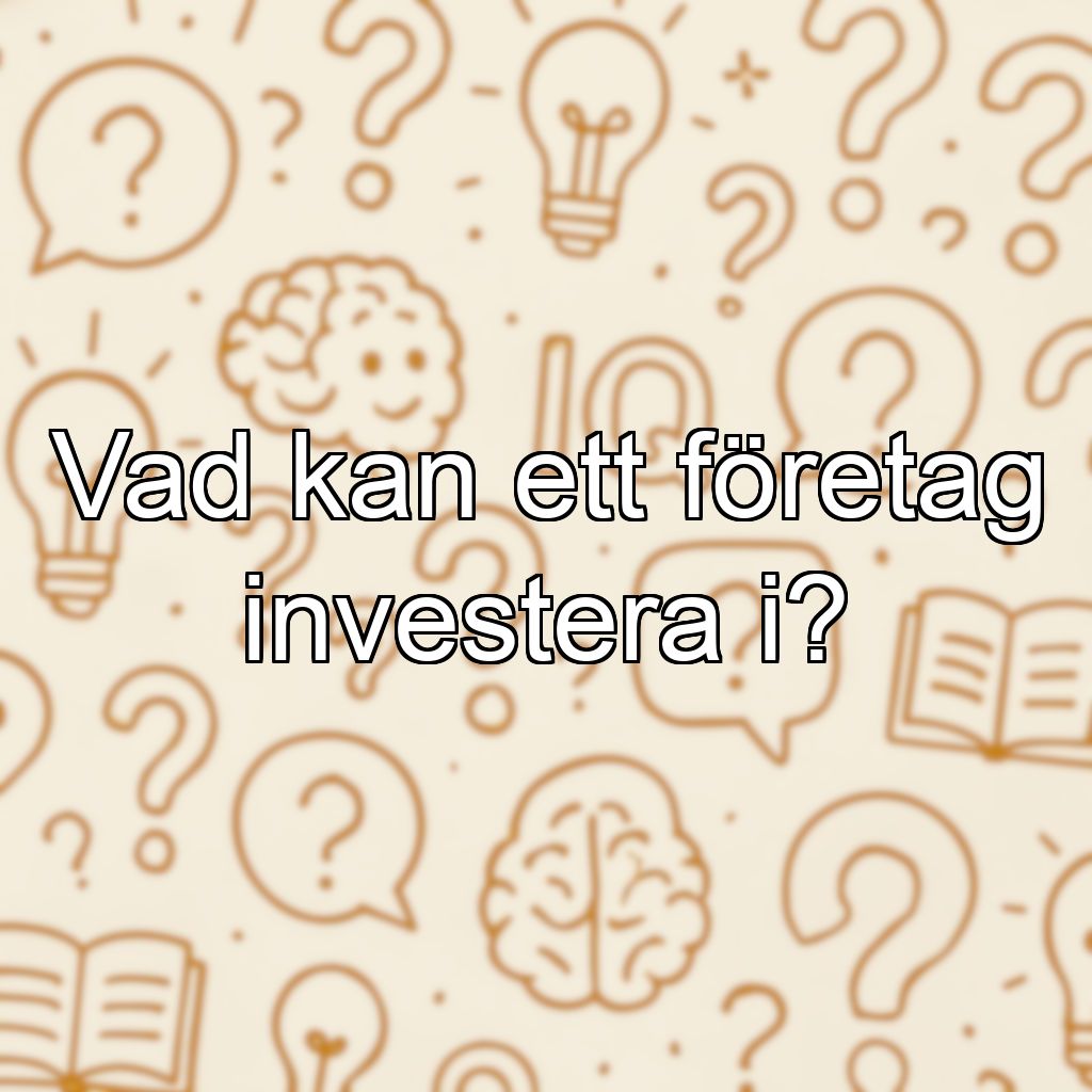 Vad kan ett företag investera i?