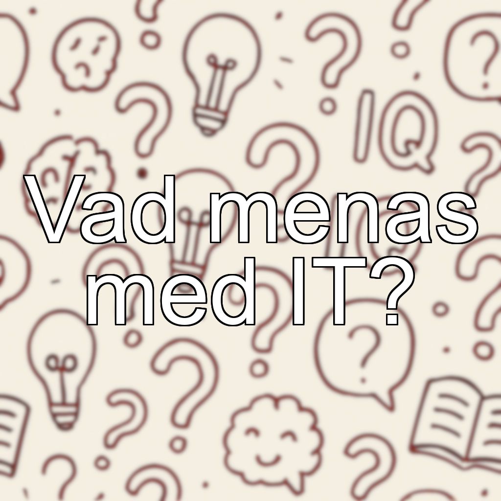 Vad menas med IT?