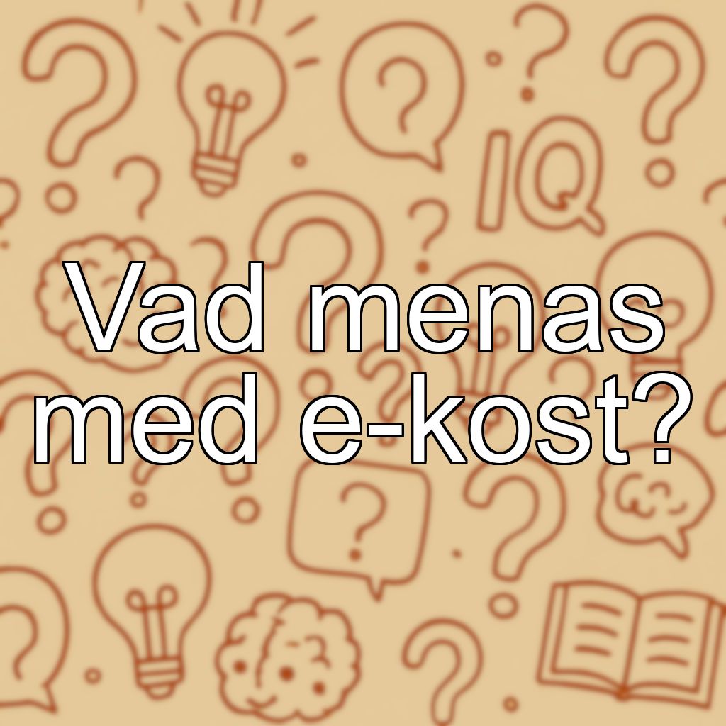 Vad menas med e-kost?