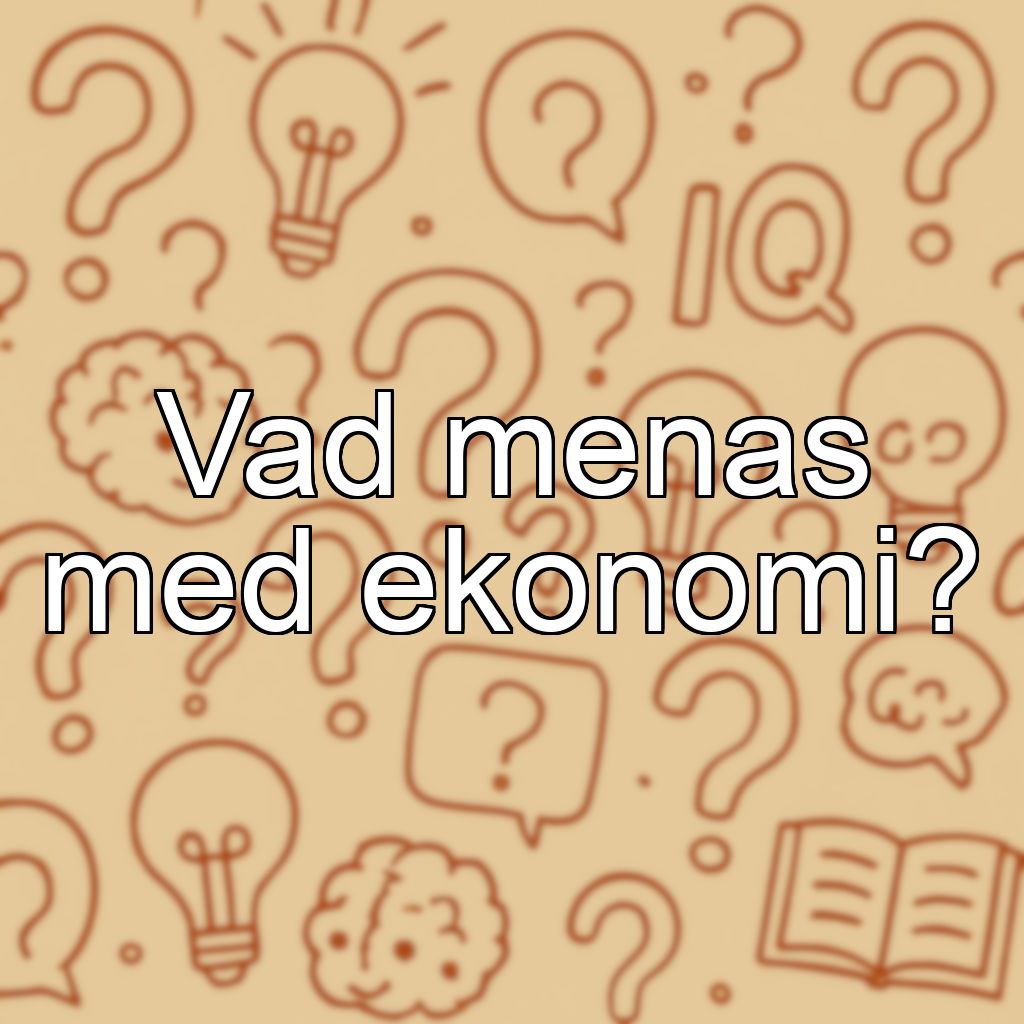 Vad menas med ekonomi?