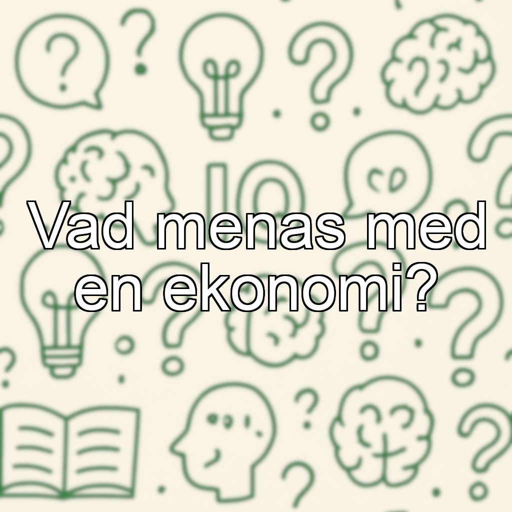 Vad menas med en ekonomi?