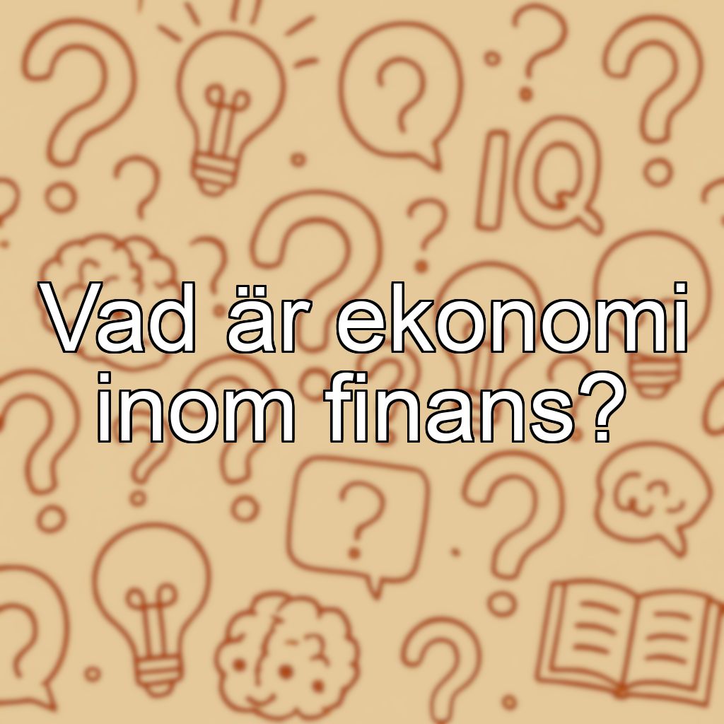 Vad är ekonomi inom finans?