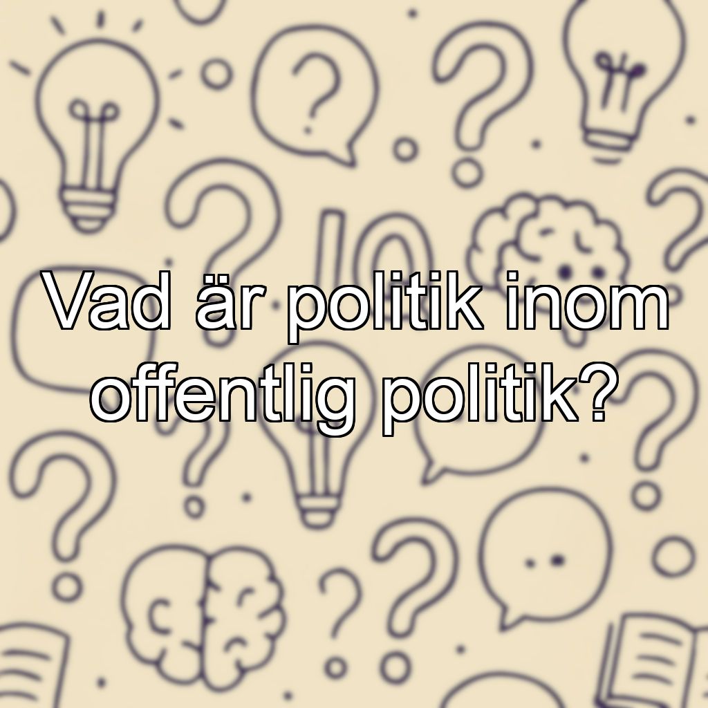 Vad är politik inom offentlig politik?