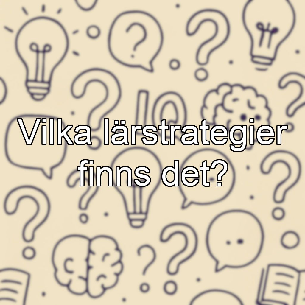 Vilka lärstrategier finns det?