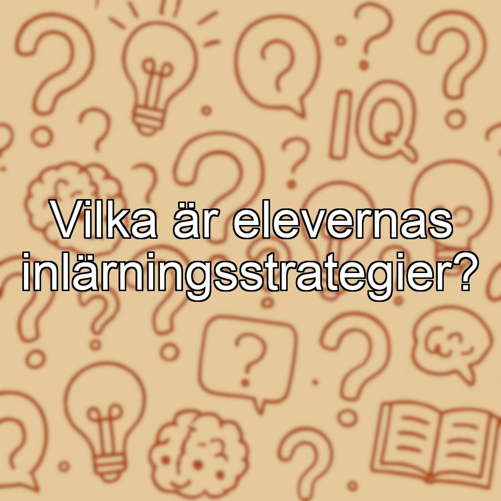 Vilka är elevernas inlärningsstrategier?