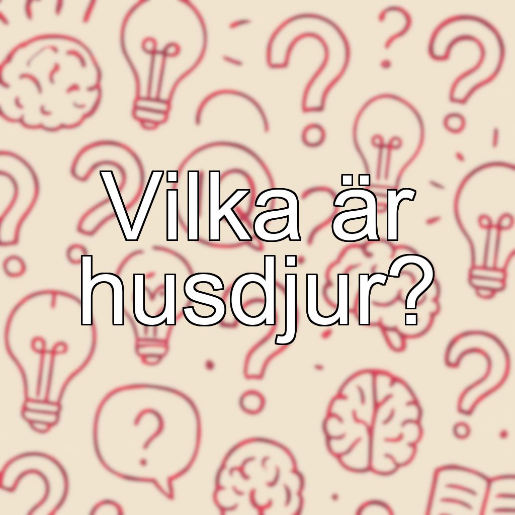 Vilka är husdjur?