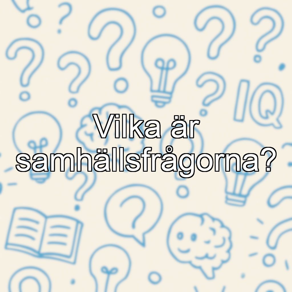 Vilka är samhällsfrågorna?